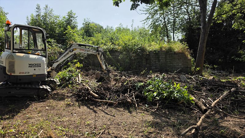 Minikoparka porządkująca teren z gałęzi i zarośli